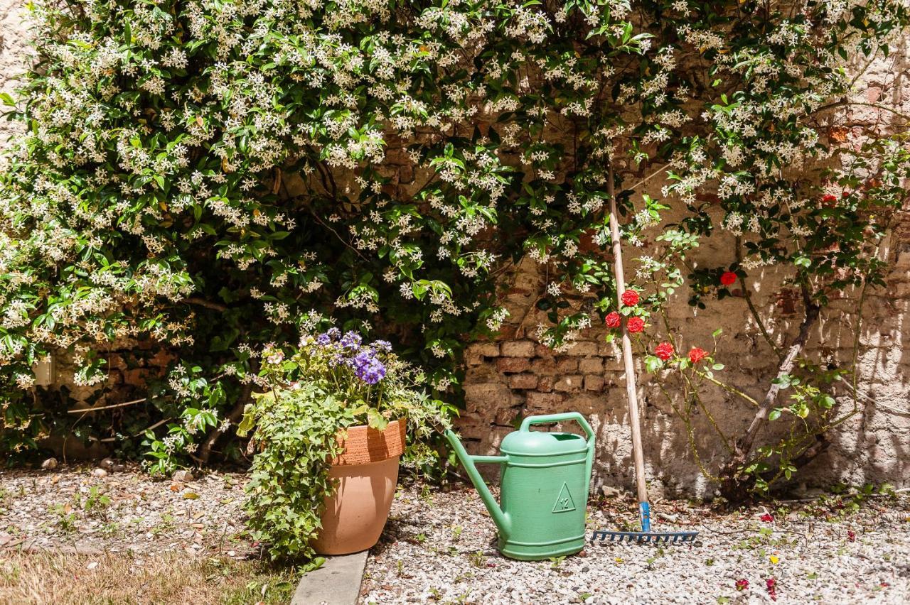 Ferienwohnung Hostly - Garden House Near The Tower - Historical House With Private Garden Pisa Exterior foto